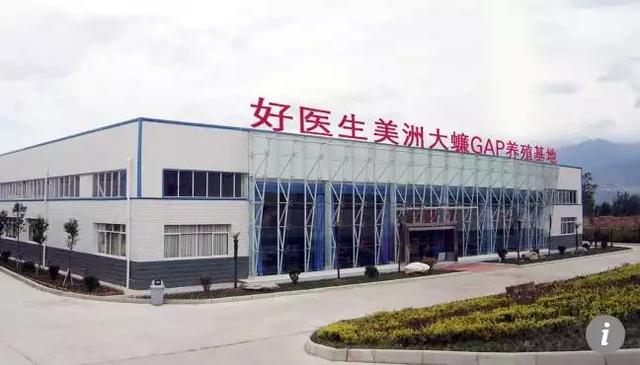  柏林赫塔扩建训练基地，增设高科技康复设施  